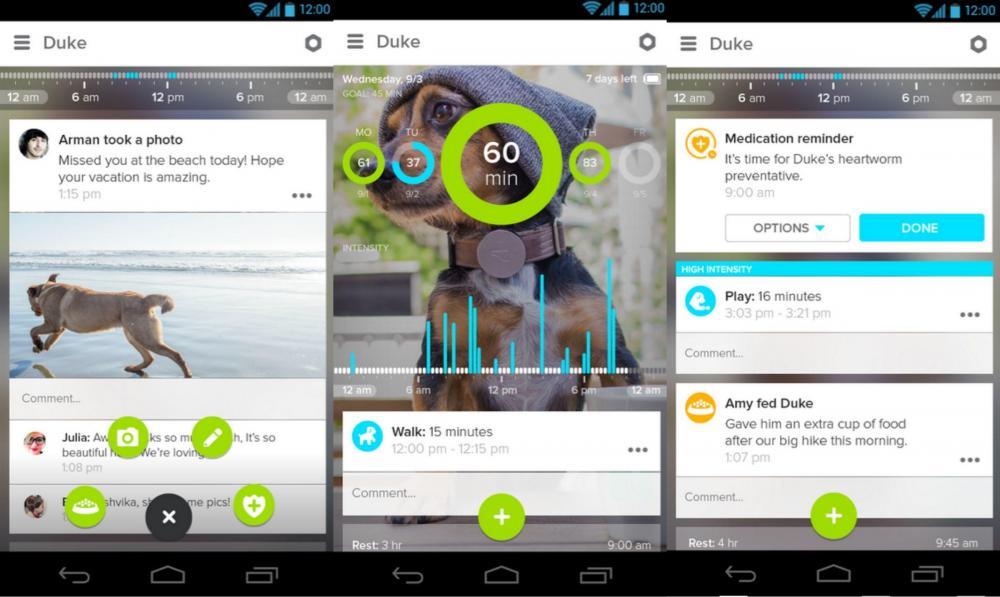 6 Amazing Apps for Pet Parents